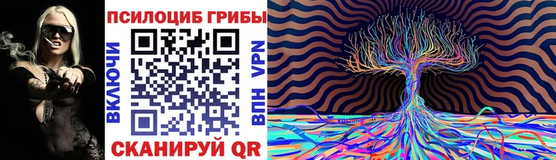 kraken ССЫЛКА  Данилов  Псилоцибиновые грибы Psilocybine cubensis 